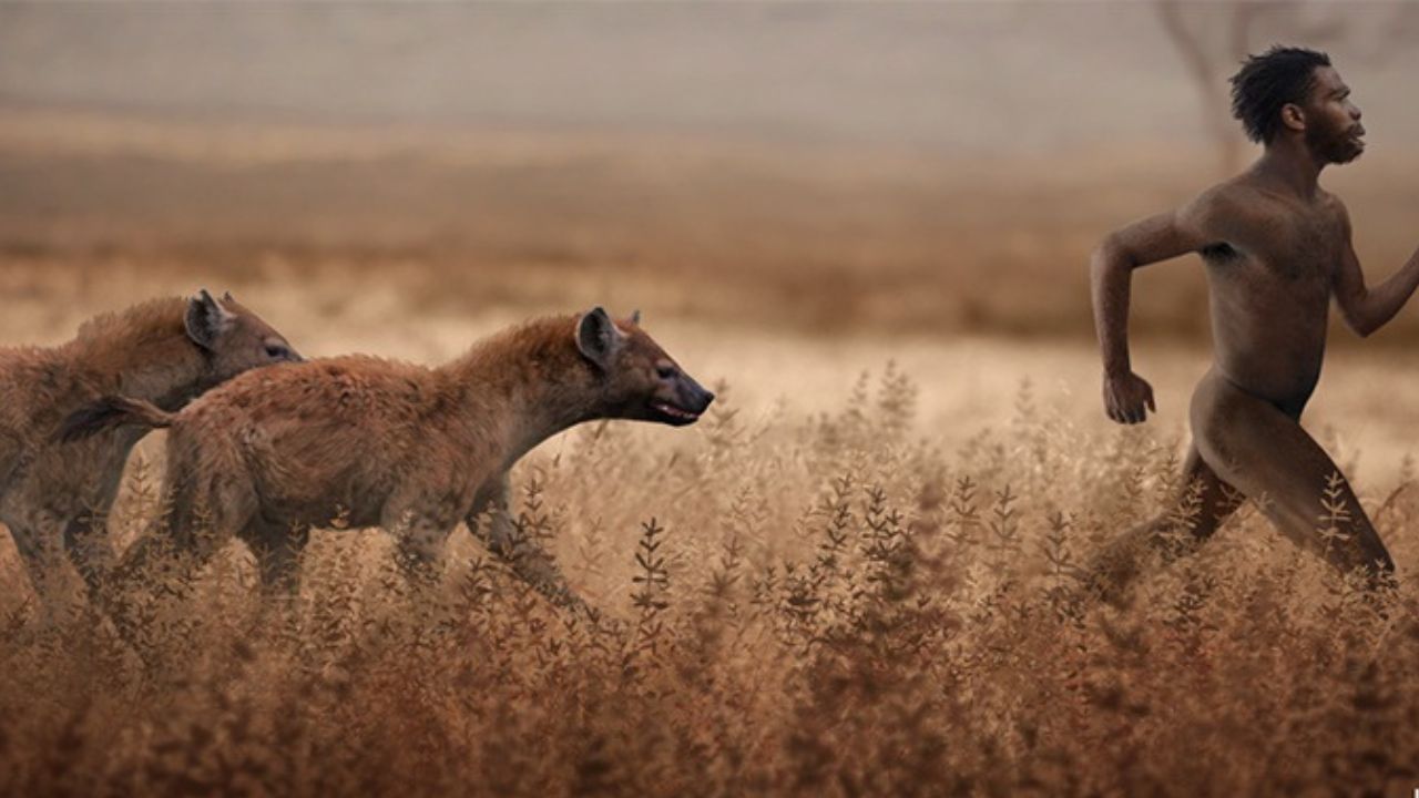 Do Hyenas Attack Humans