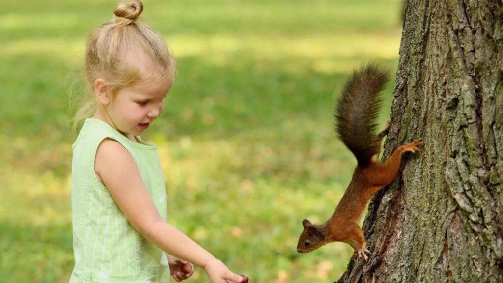 Do Squirrels Attack Humans