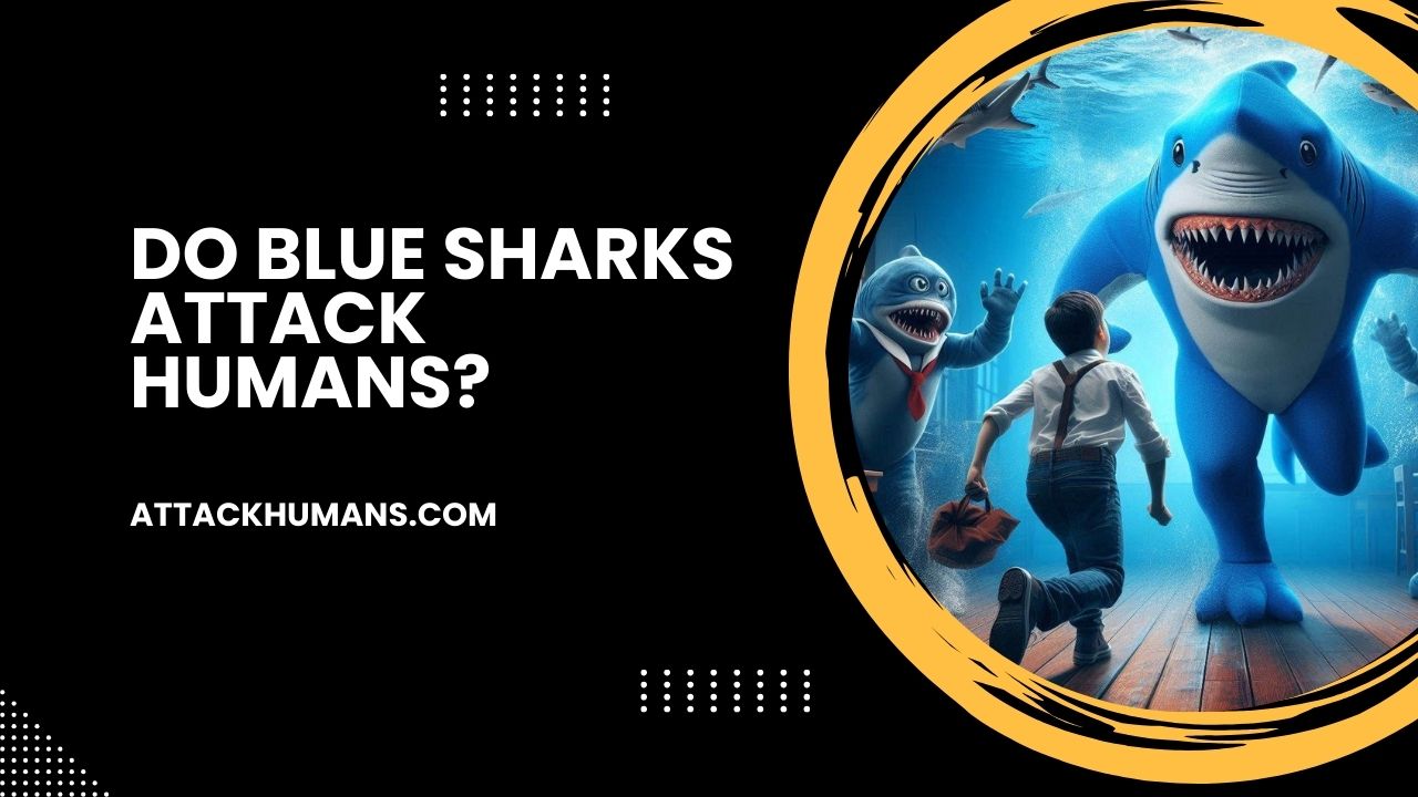 Do Blue Sharks Attack Humans