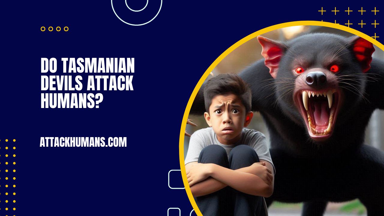 Do Tasmanian Devils Attack Humans