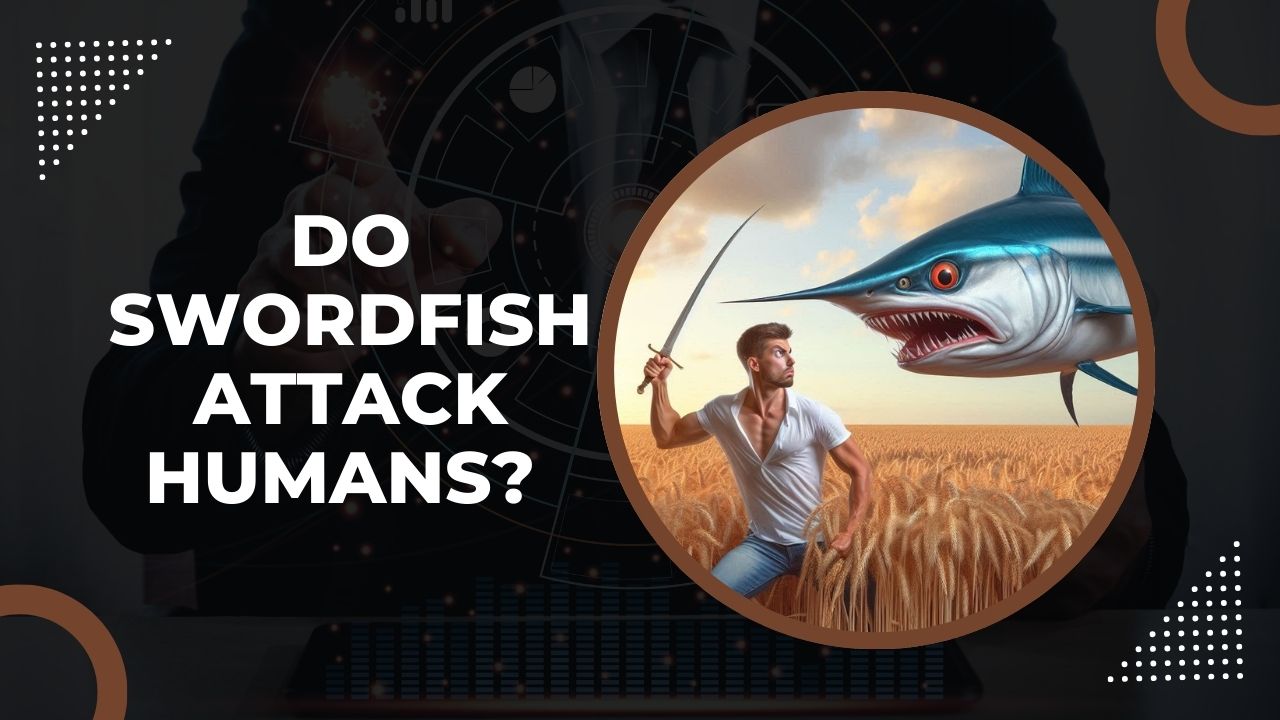 Do Swordfish Attack Humans